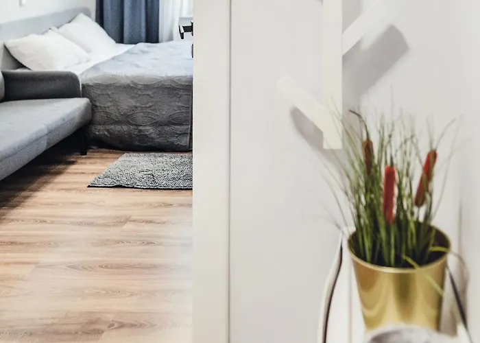 Komfortowe W Centrum Wroclawia Daire *