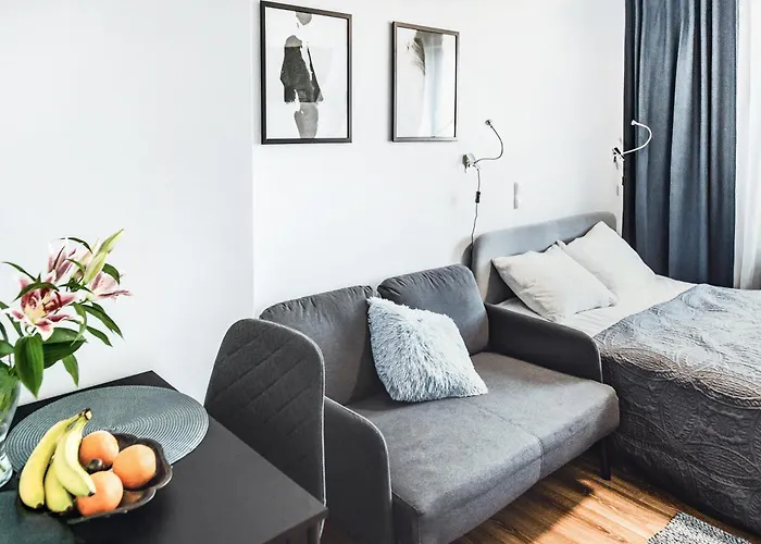 Komfortowe W Centrum Wroclawia Wrocław